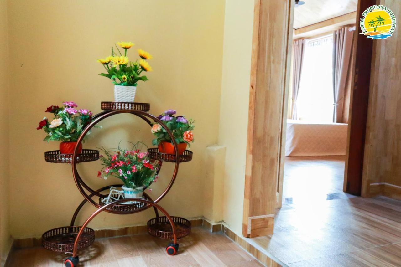 Cat Ba Vintage Homestay Cat Ba Island Dış mekan fotoğraf