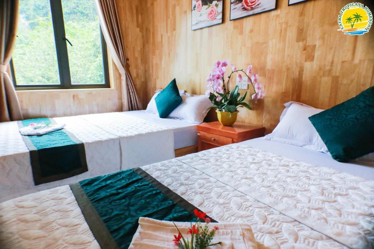 Cat Ba Vintage Homestay Cat Ba Island Dış mekan fotoğraf